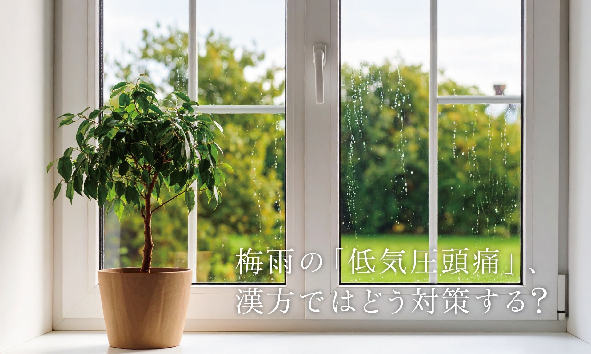 梅雨の「低気圧頭痛」、漢方ではどう対策する？